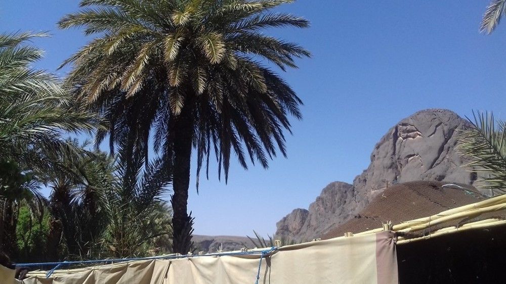 Auberge Restaurant Tissili " Oasis De Fint" المظهر الخارجي الصورة